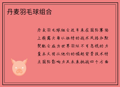 丹麦羽毛球组合
